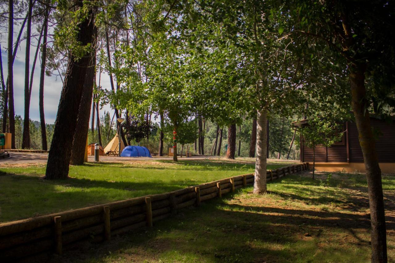 Xisto Camping Janeiro de Baixo Exterior photo